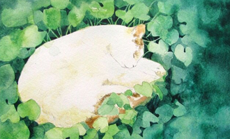 高原红插花艺术,一花一世界，一叶一追寻